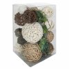 Home Accents * | Attractive Brown Dried Orbs With Succulent Mix