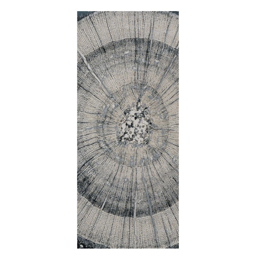 Rugs & Curtains * | Exclusive (B756) Ochoco Grey Woodgrain Runner, 2 7