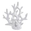 Home Accents * | Clearance Sale Ty Pennington White Ceramic Coral Figurine, 8.5